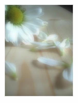 ======> t0i, t0i, t0i